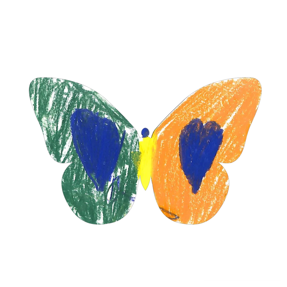 Original Butterfly Image