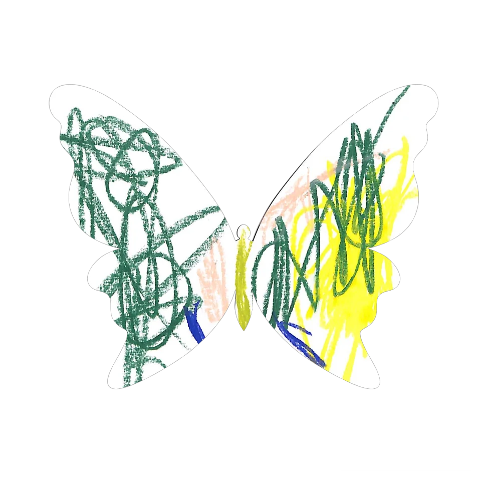 Original Butterfly Image