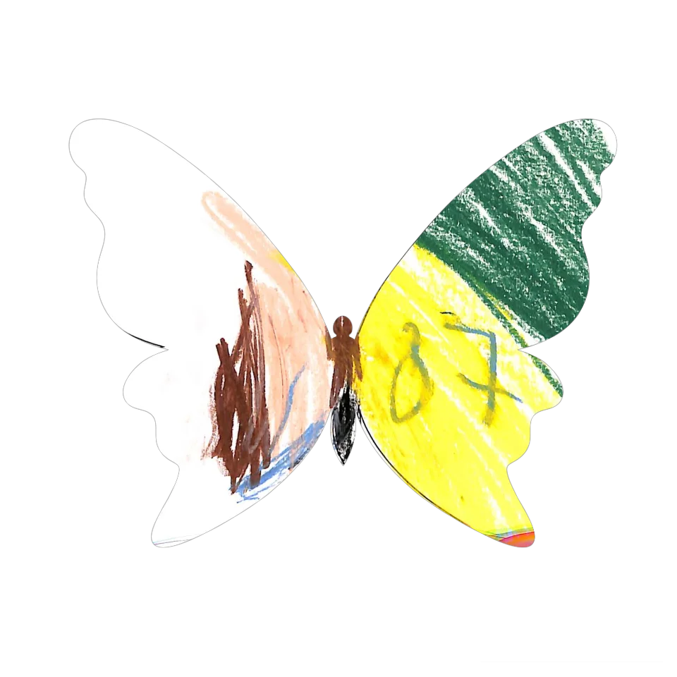 Original Butterfly Image