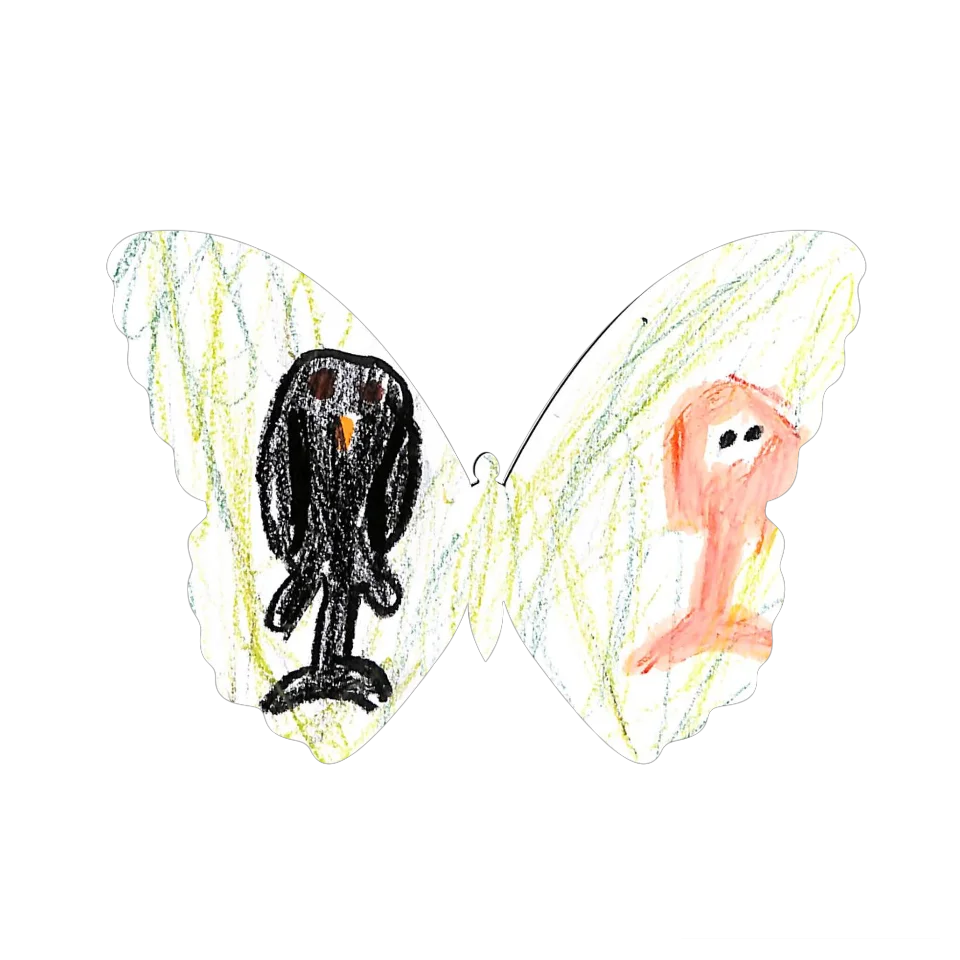 Original Butterfly Image