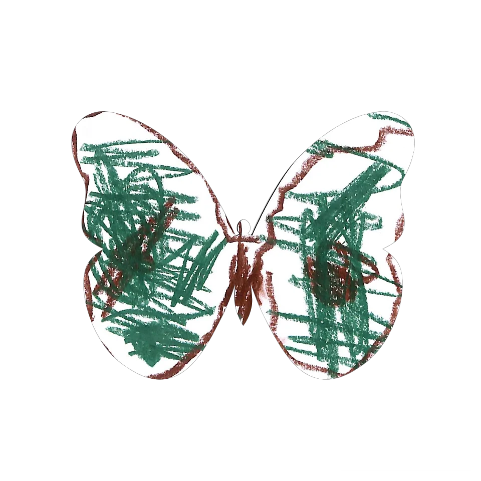 Original Butterfly Image