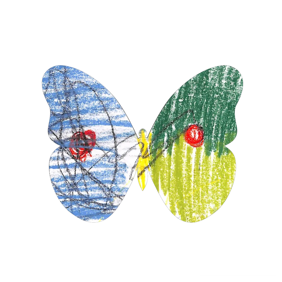 Original Butterfly Image