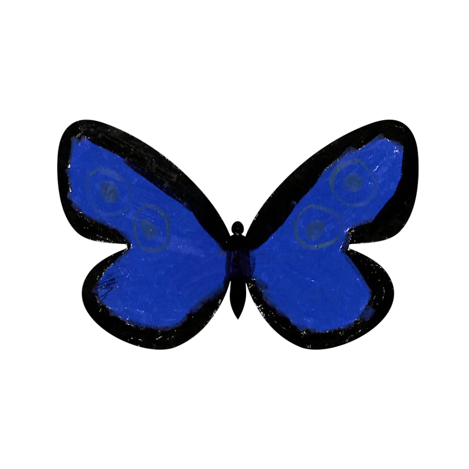 Original Butterfly Image