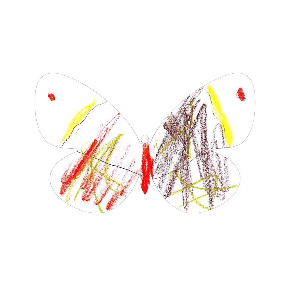 Original Butterfly Image
