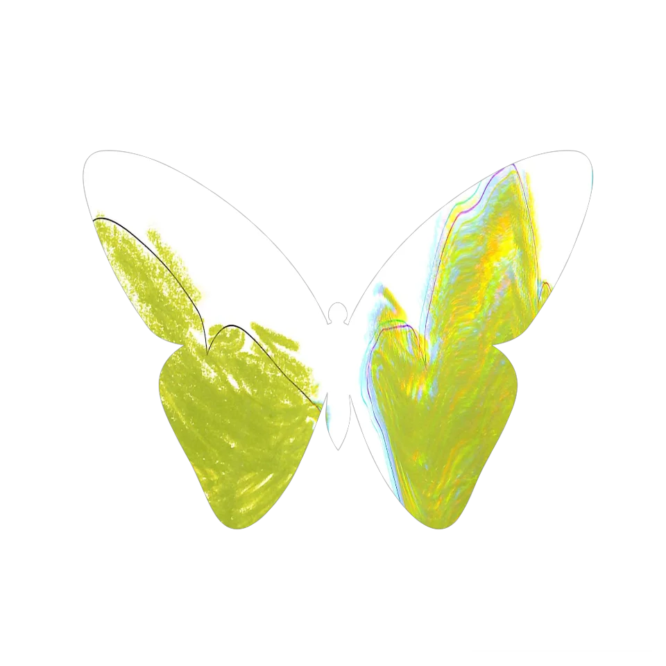Original Butterfly Image