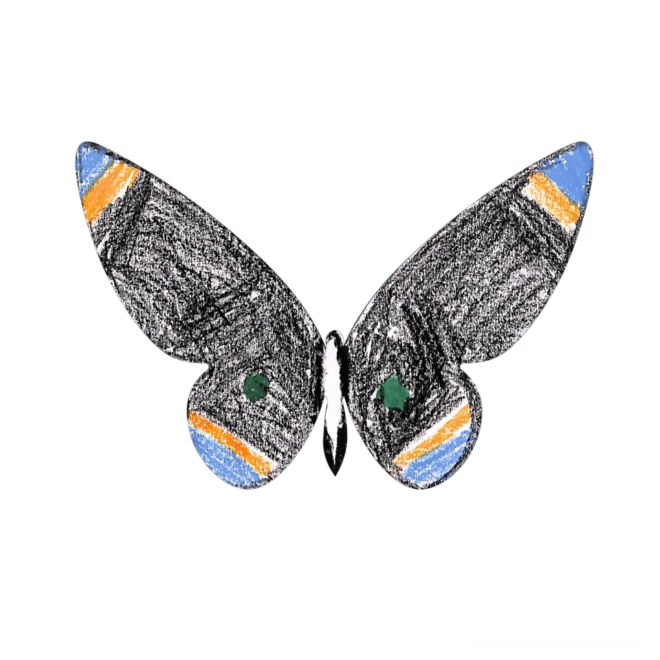 Original Butterfly Image