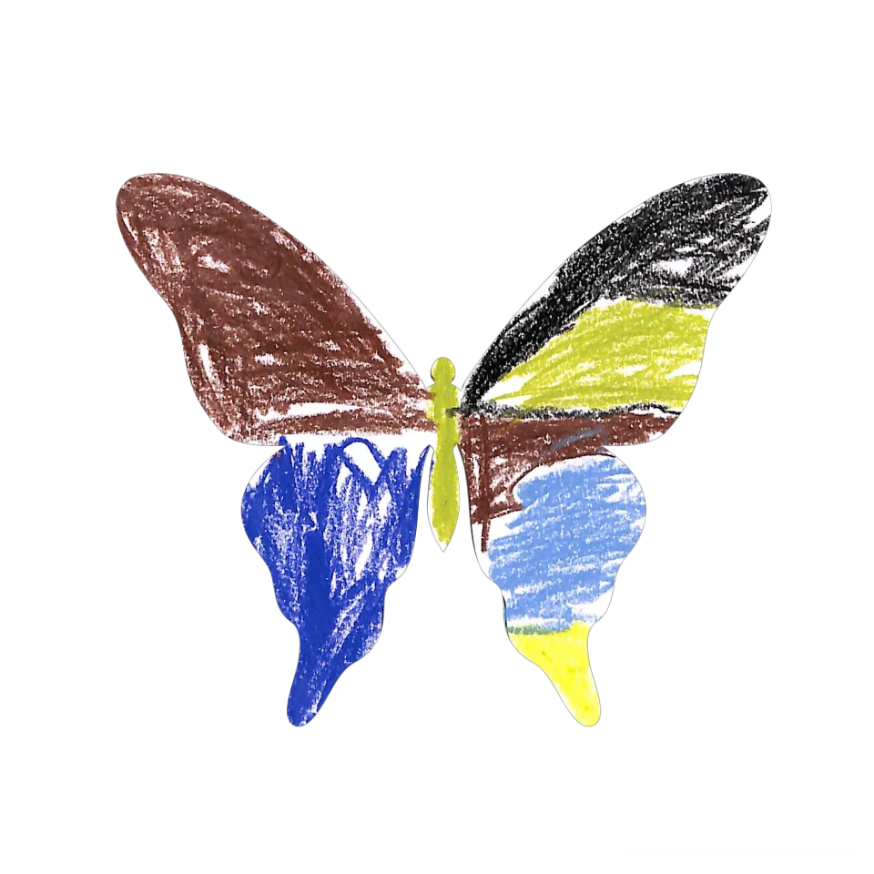 Original Butterfly Image