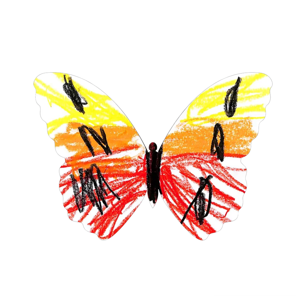 Original Butterfly Image