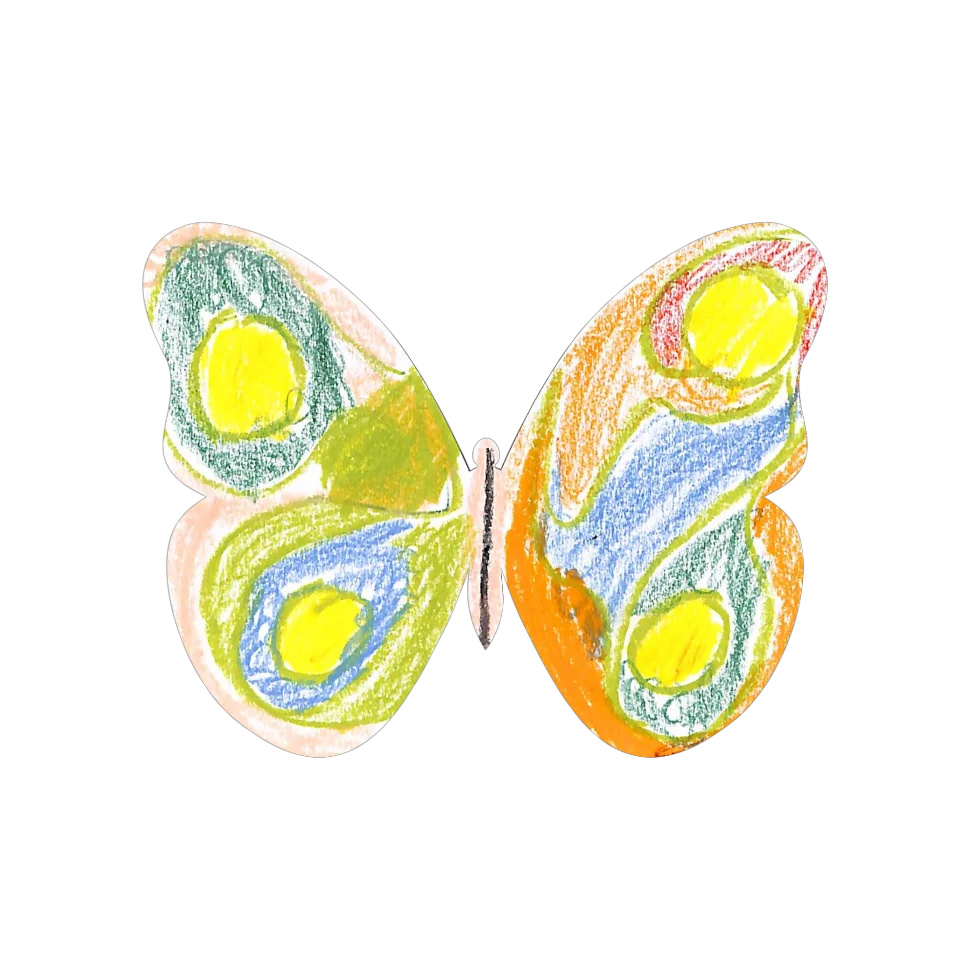 Original Butterfly Image