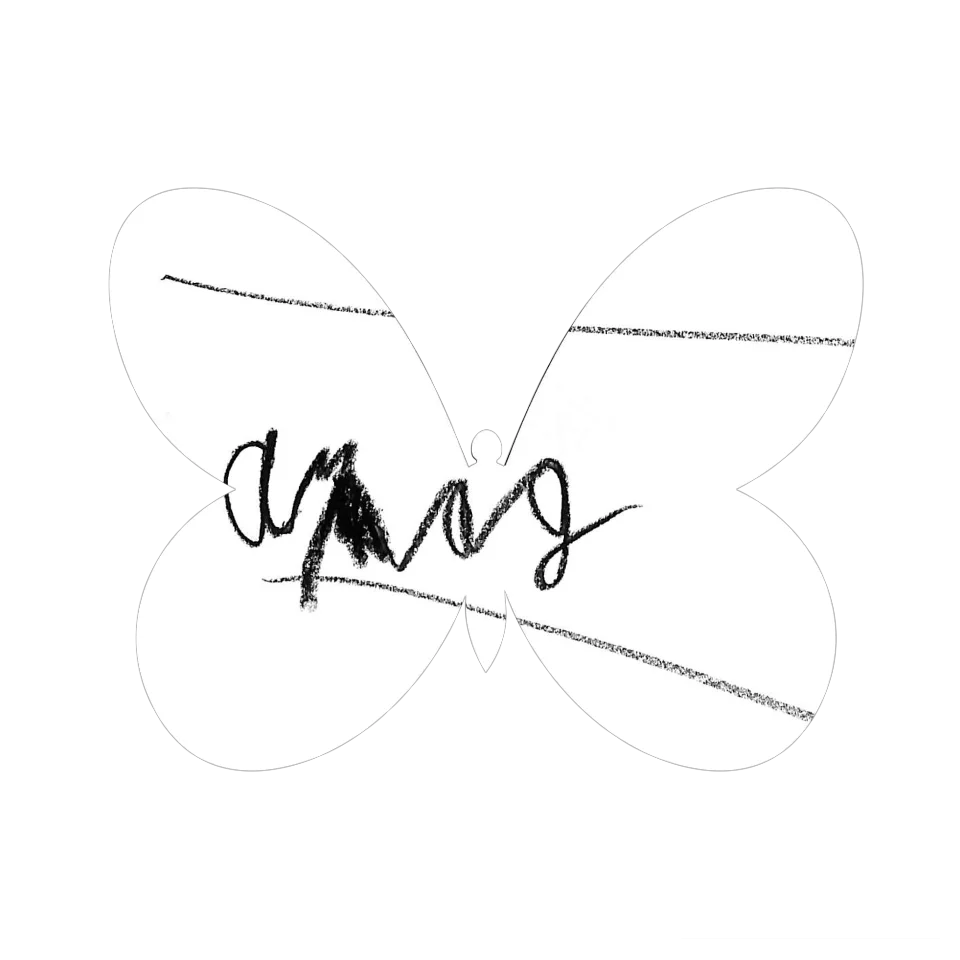 Original Butterfly Image