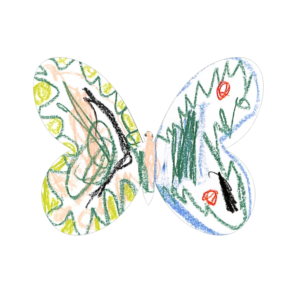 Original Butterfly Image