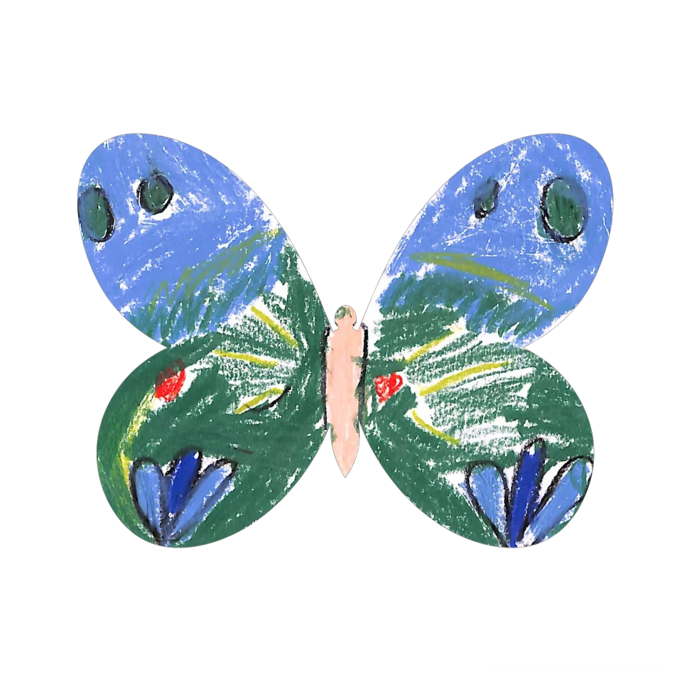 Original Butterfly Image
