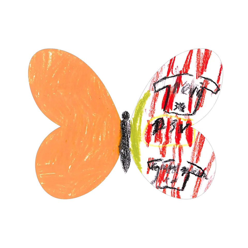 Original Butterfly Image