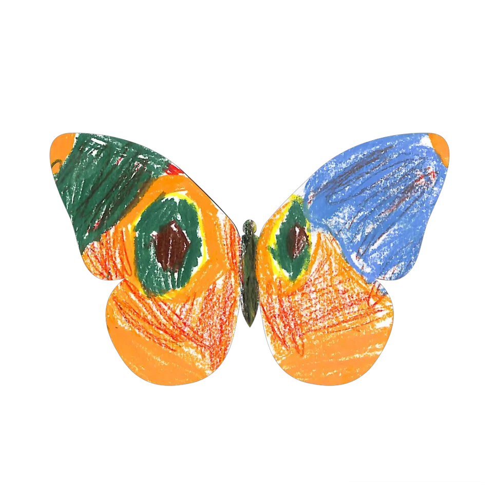 Original Butterfly Image