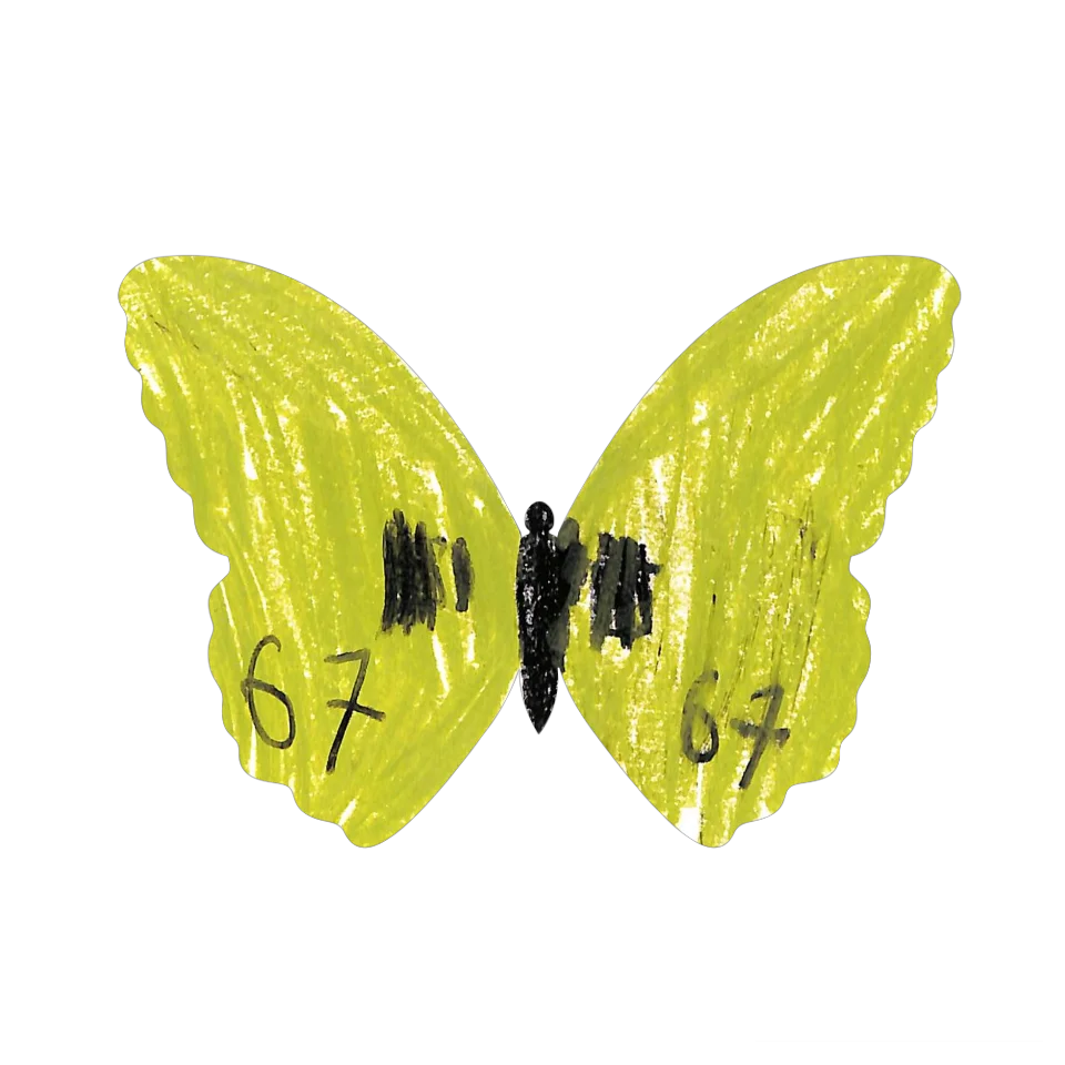 Original Butterfly Image