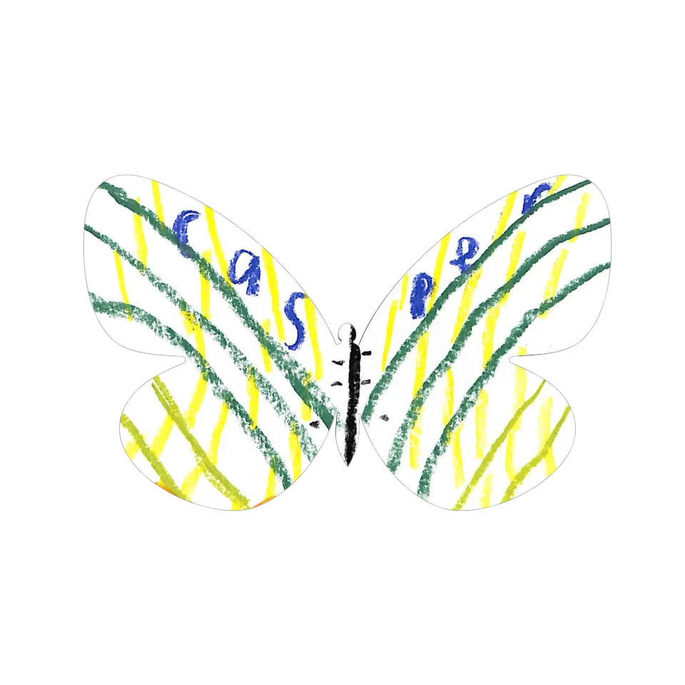 Original Butterfly Image
