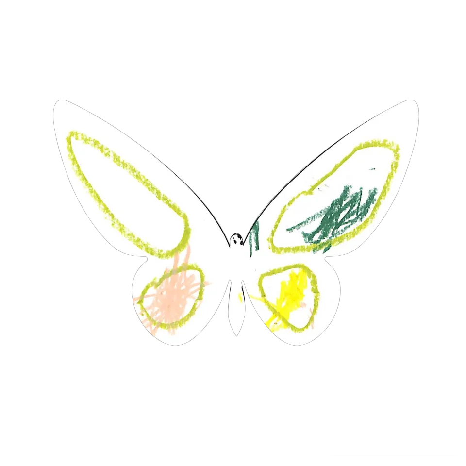 Original Butterfly Image