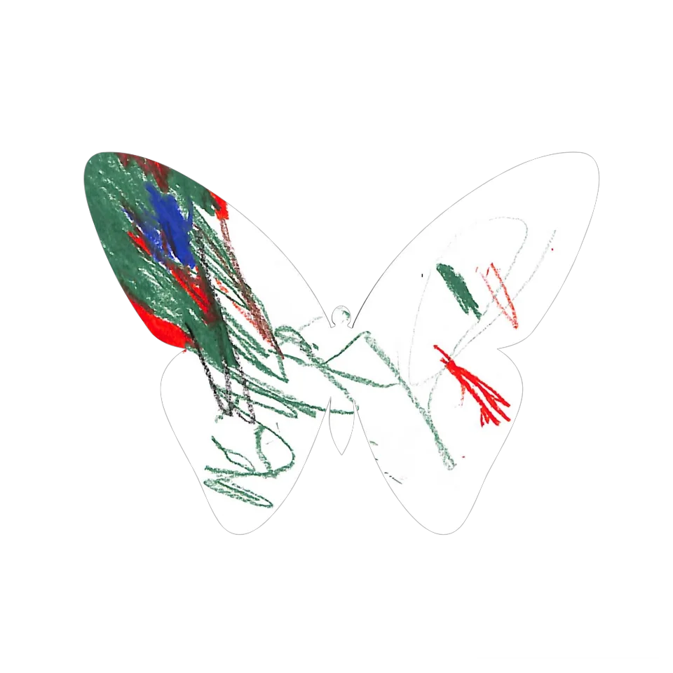 Original Butterfly Image