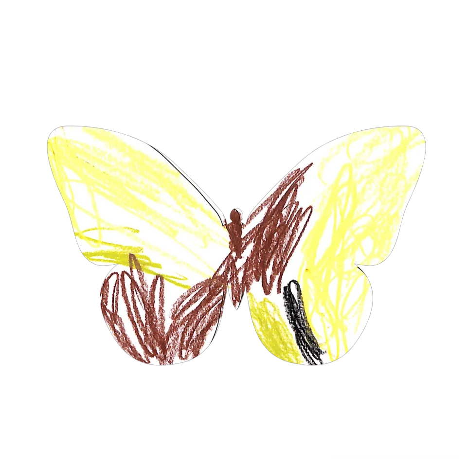 Original Butterfly Image