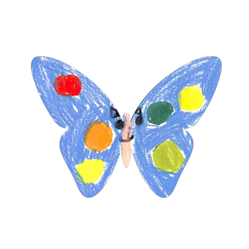 Original Butterfly Image