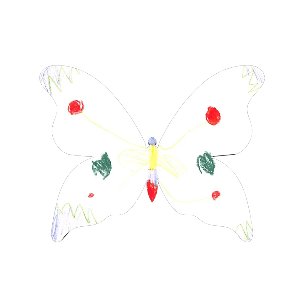Original Butterfly Image