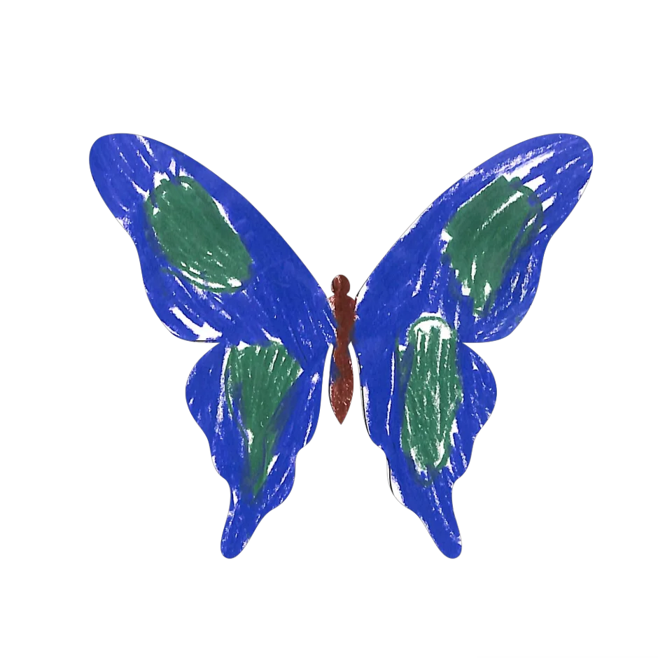 Original Butterfly Image