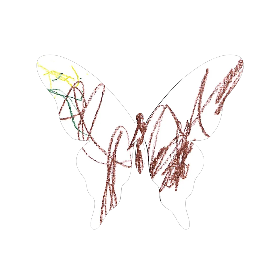 Original Butterfly Image