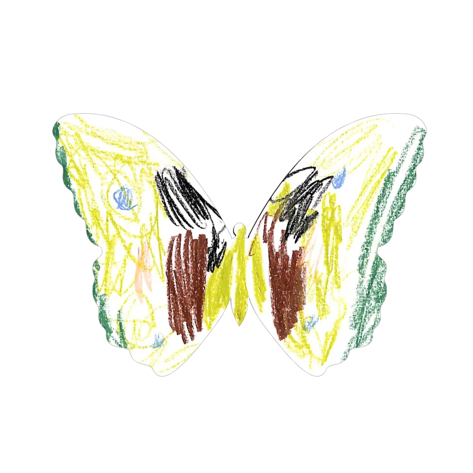 Original Butterfly Image