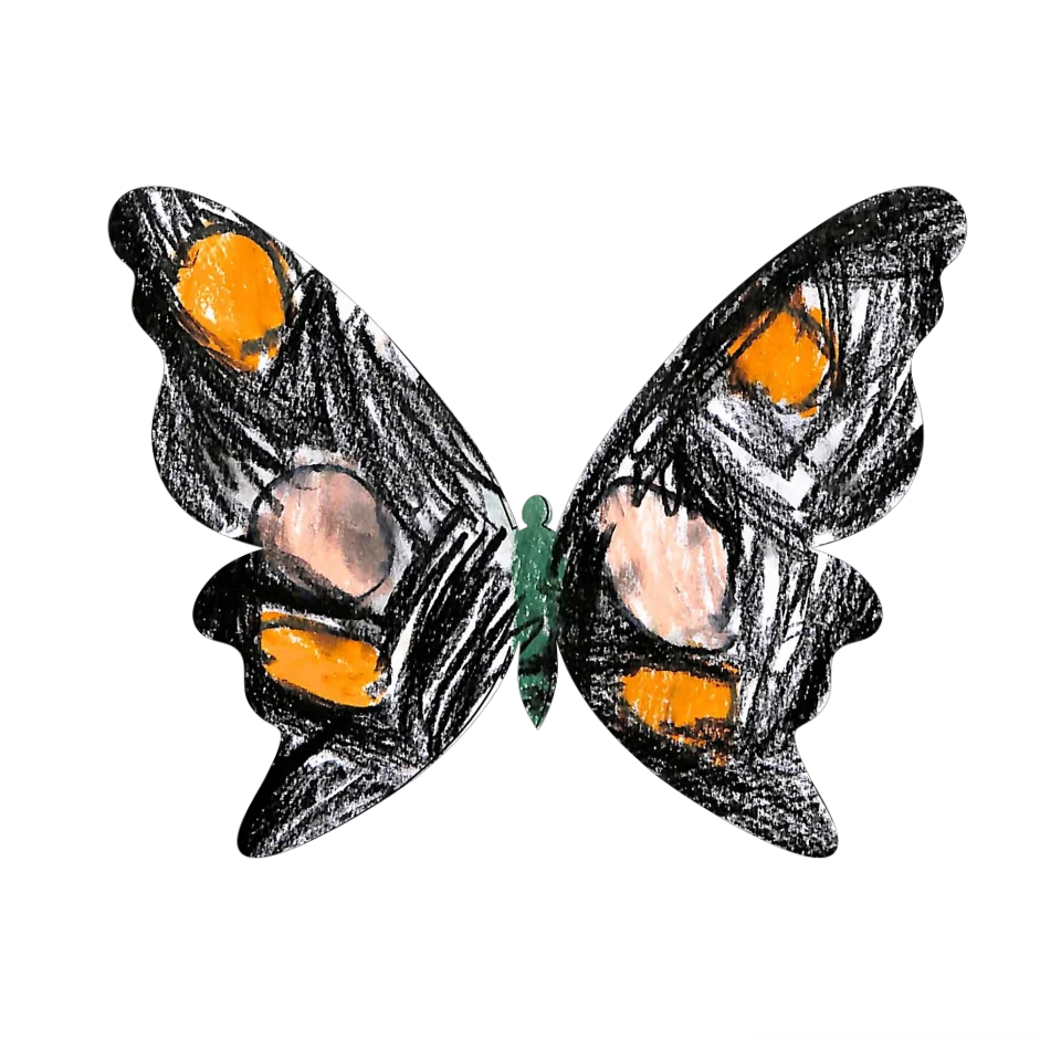 Original Butterfly Image