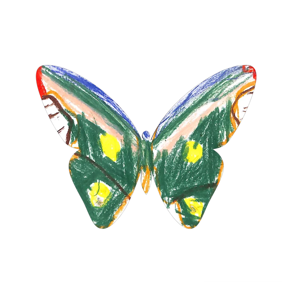 Original Butterfly Image