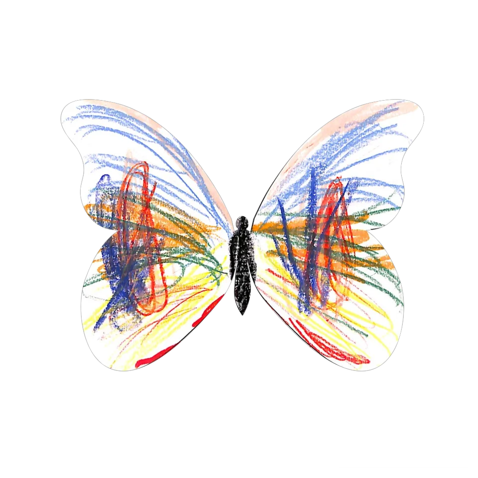 Original Butterfly Image