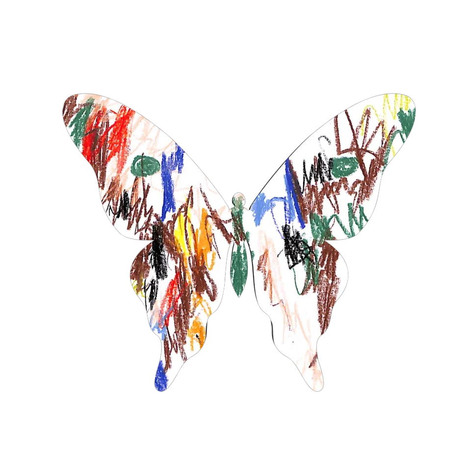 Original Butterfly Image
