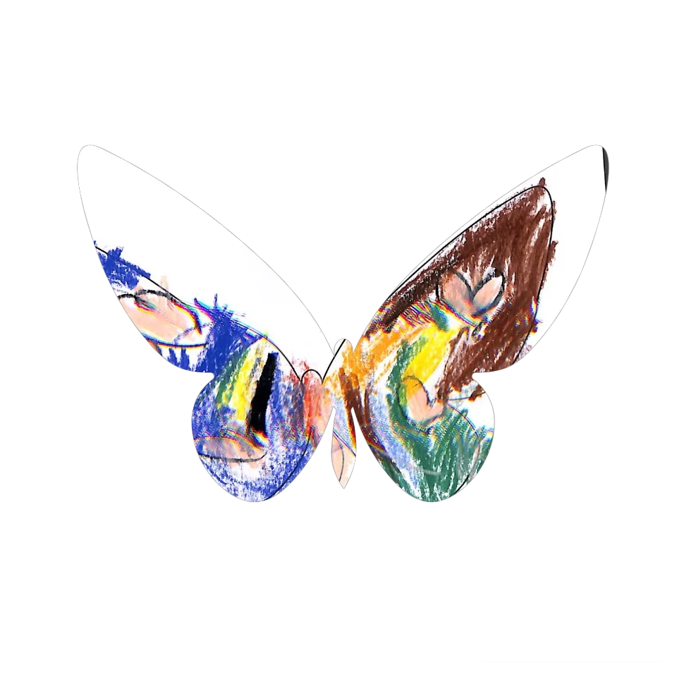 Original Butterfly Image