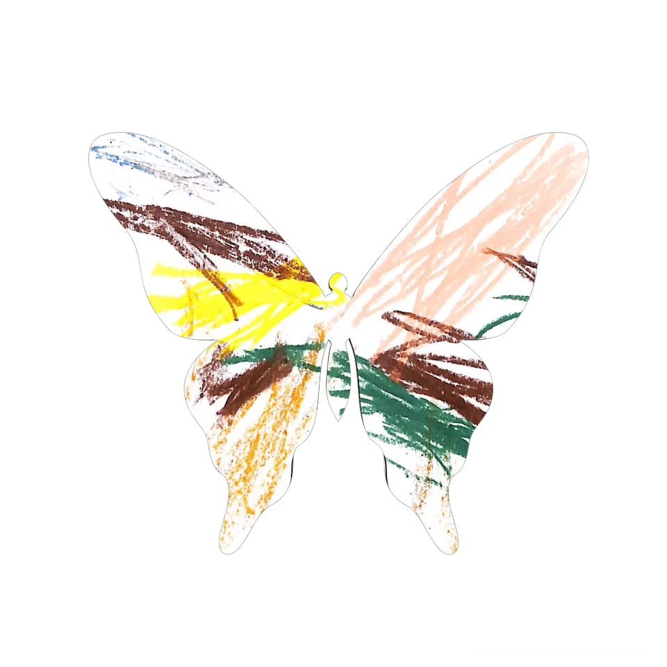 Original Butterfly Image