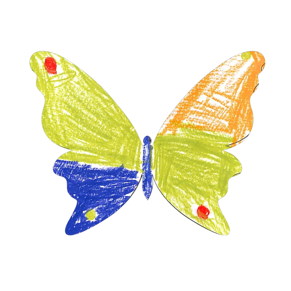 Original Butterfly Image
