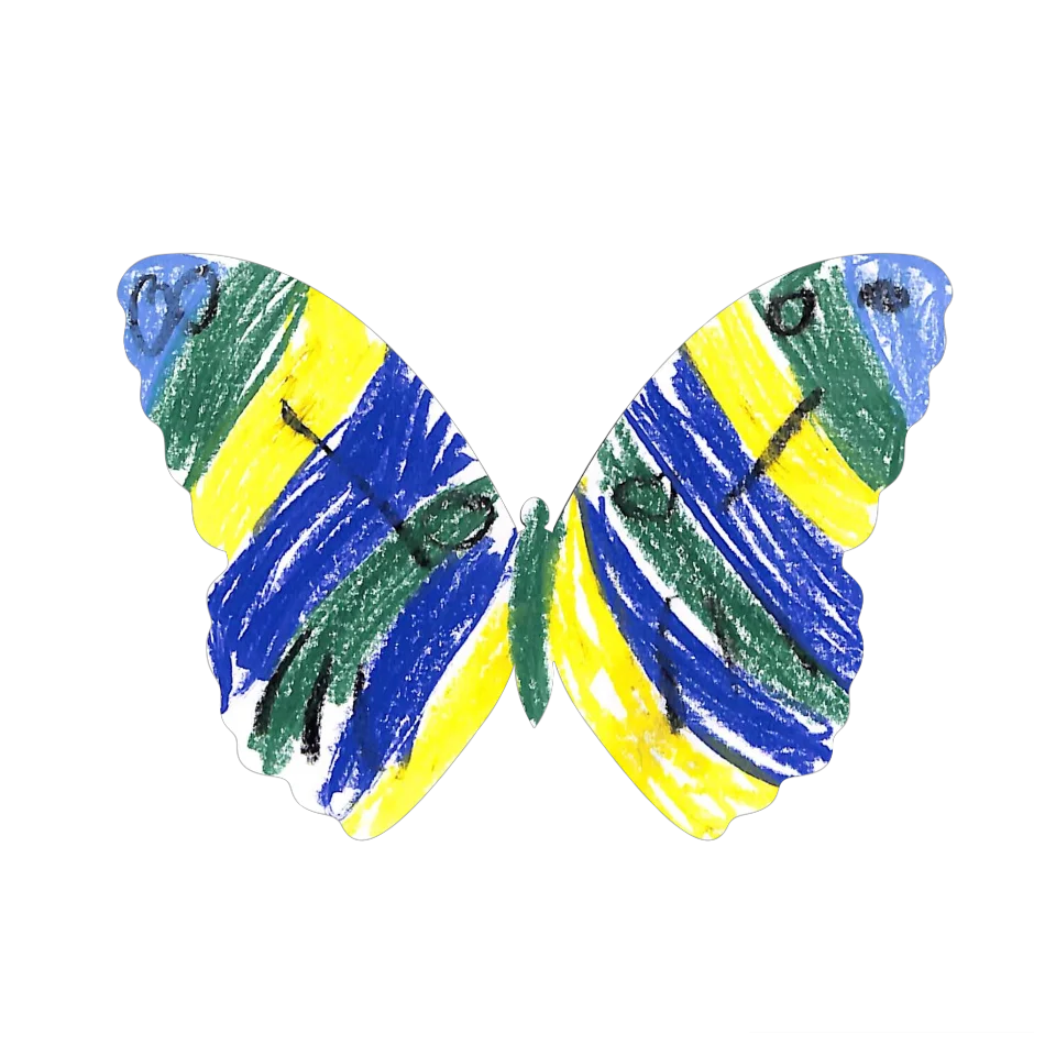 Original Butterfly Image