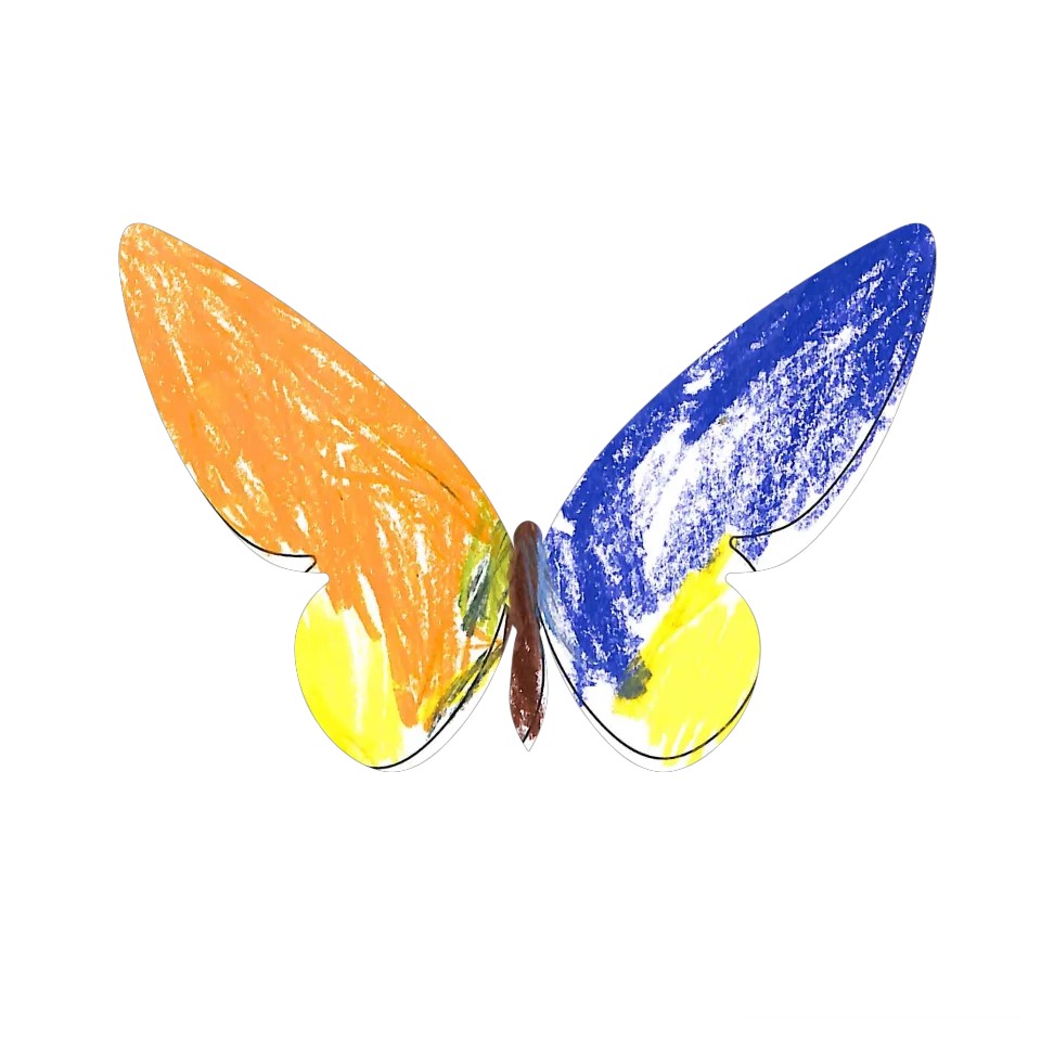 Original Butterfly Image