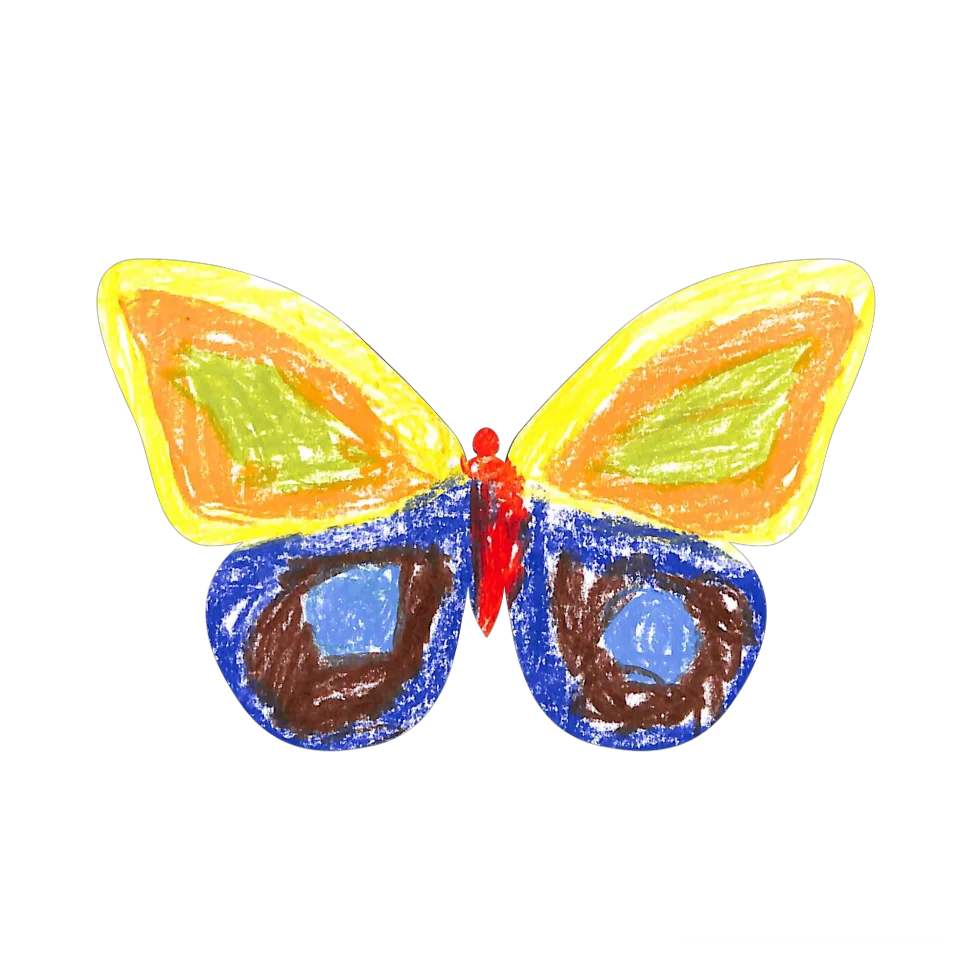 Original Butterfly Image