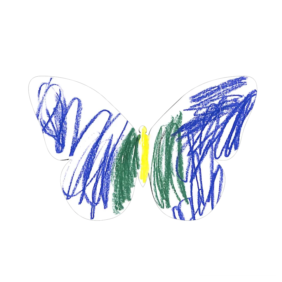Original Butterfly Image