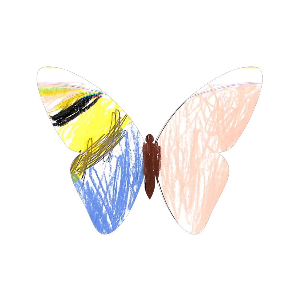 Original Butterfly Image