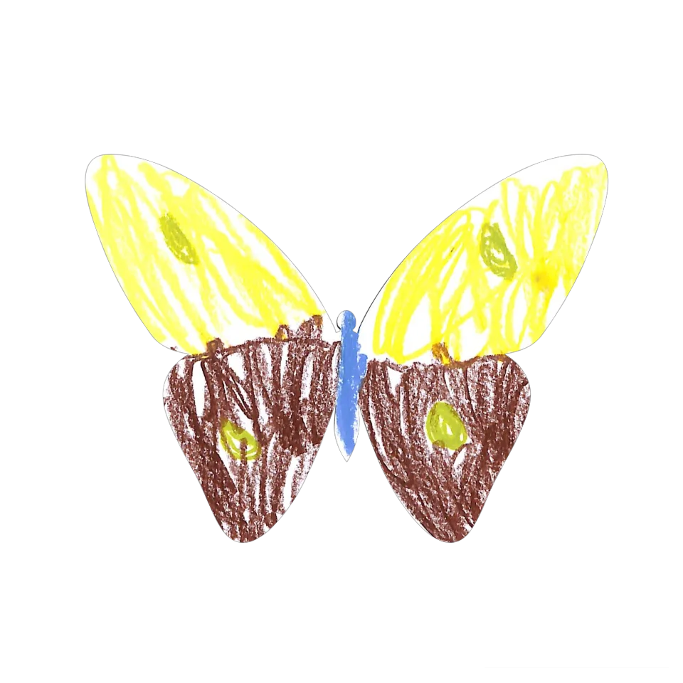 Original Butterfly Image