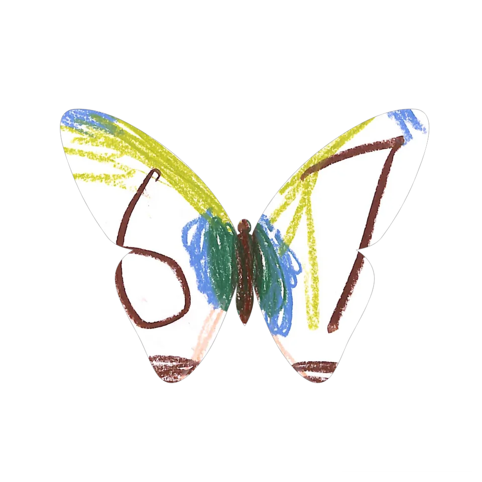 Original Butterfly Image