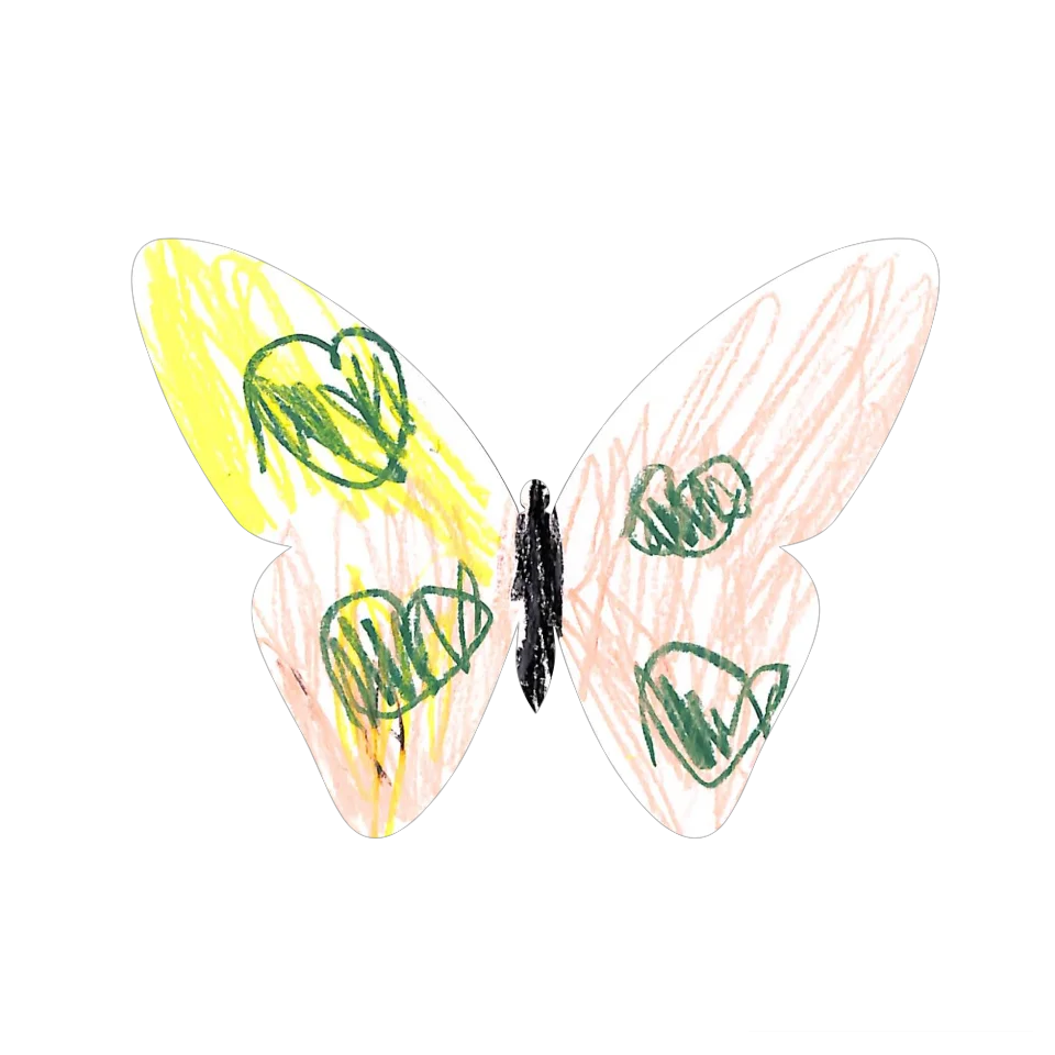 Original Butterfly Image