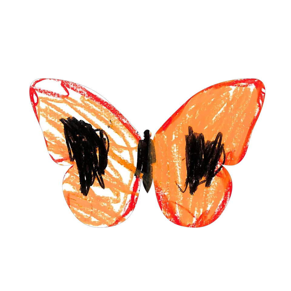 Original Butterfly Image