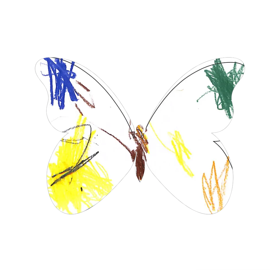 Original Butterfly Image