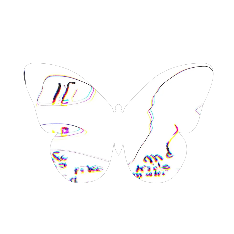 Original Butterfly Image