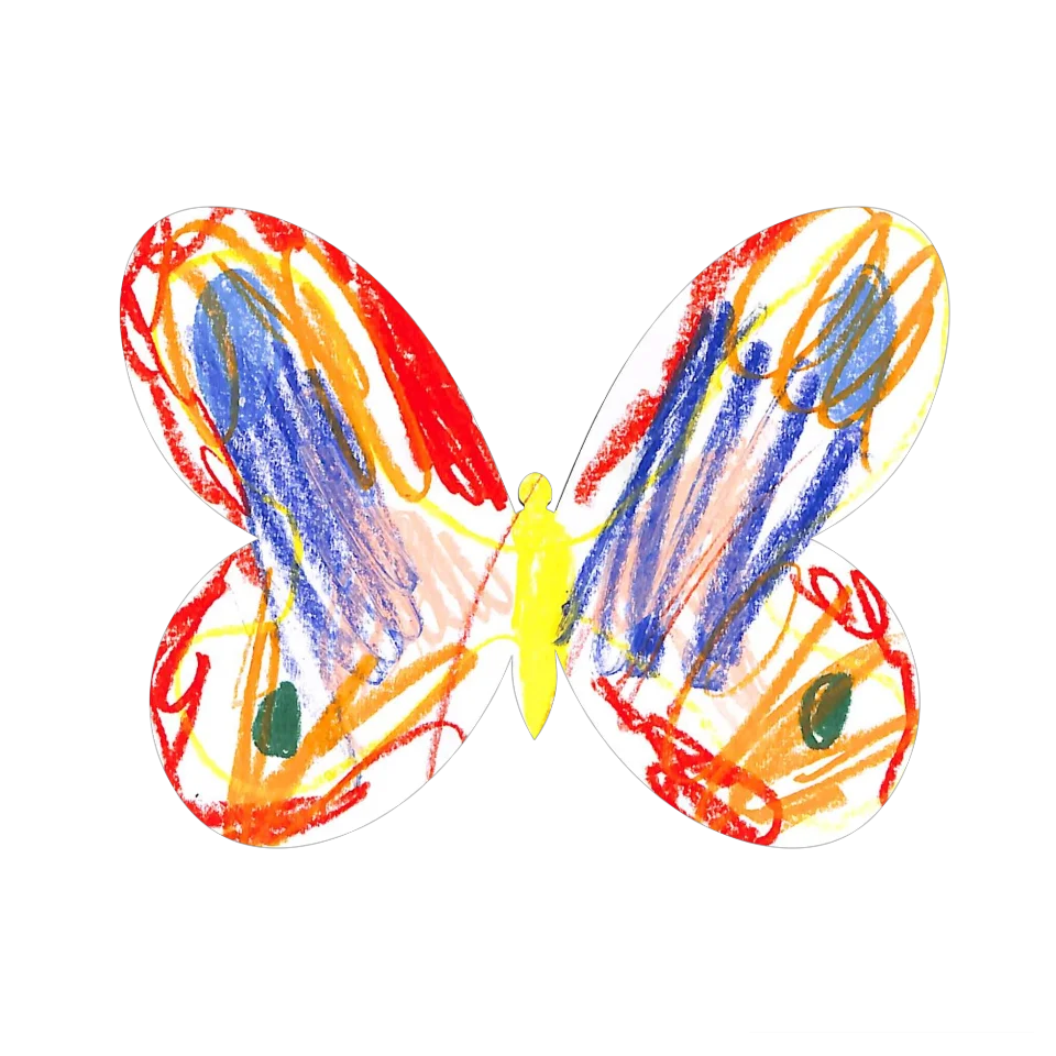 Original Butterfly Image
