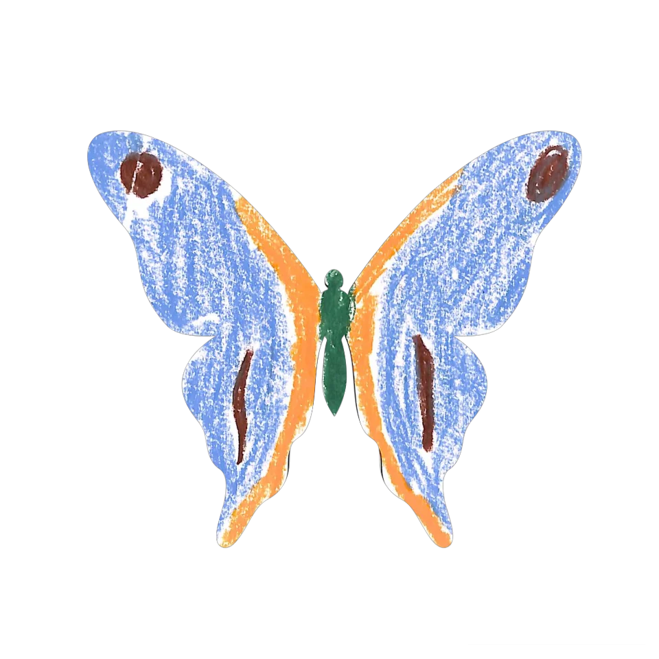 Original Butterfly Image