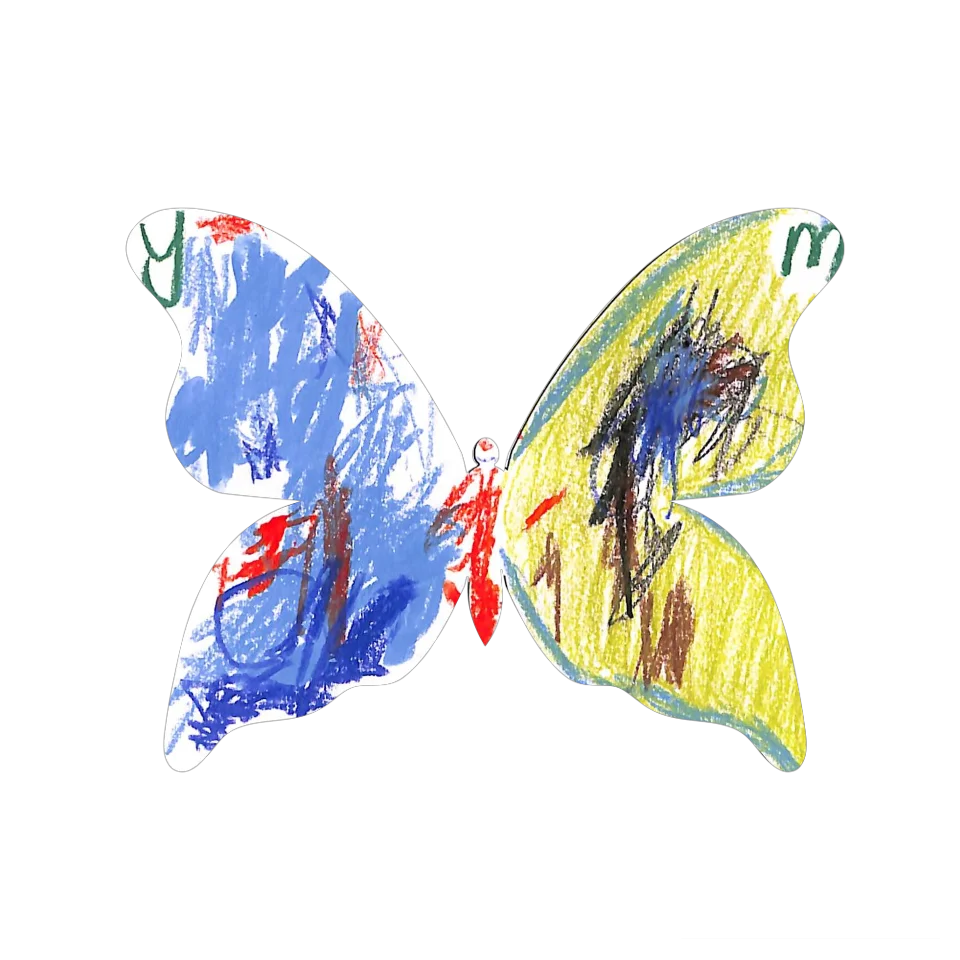 Original Butterfly Image