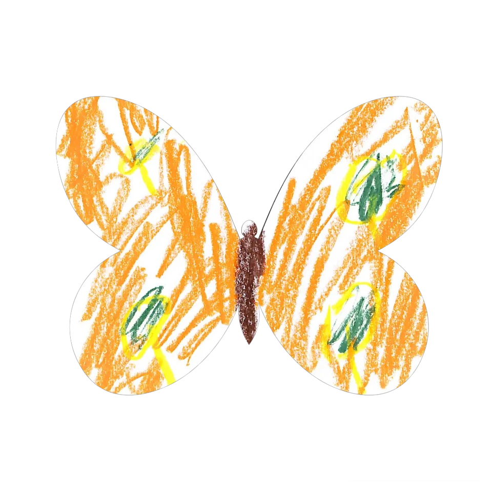 Original Butterfly Image